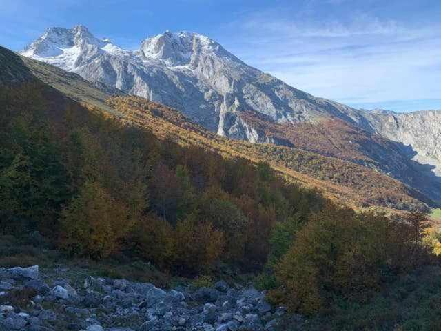 Cumbres De Los Picos Apartamento Buhos Poo  外观 照片